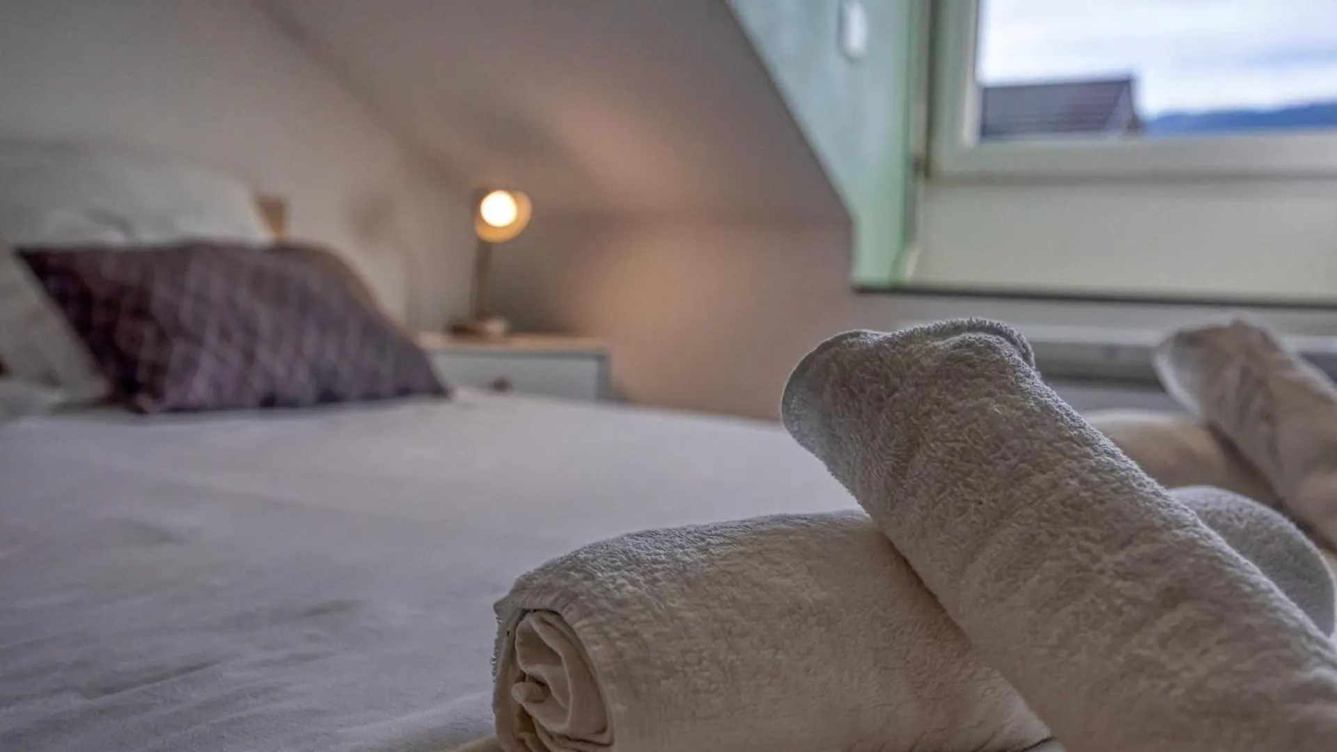 L'Ecrin D'Alembert - Clinique Mutualiste / Rocade Apartment Grenoble